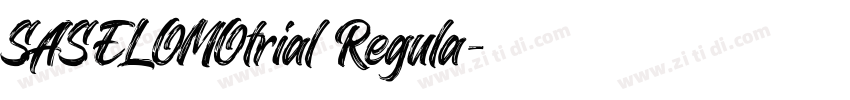 SASELOMOtrial Regula字体转换